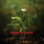 Rights of a wife