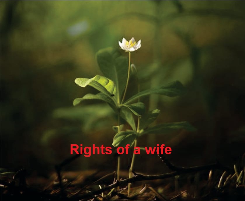 Rights of wife Mahar (Dower) Amount of dower Happy Married Life